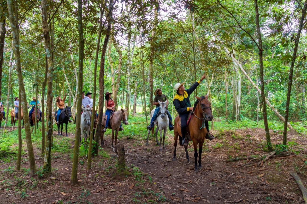Hotel Campestre La Potra Apiay Екстер'єр фото
